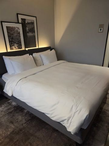 丽笙蓝标酒店-奥斯陆-官方