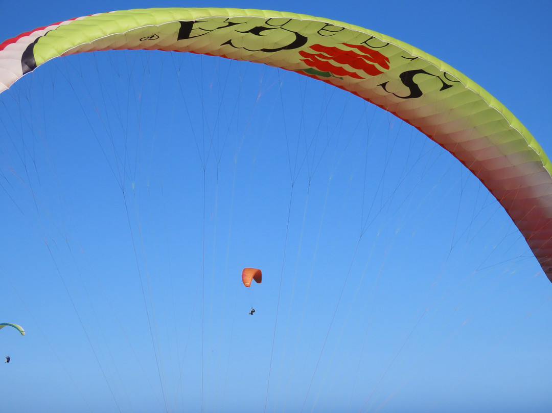FlyTime Paragliding South Africa-Sedgefield必去景点