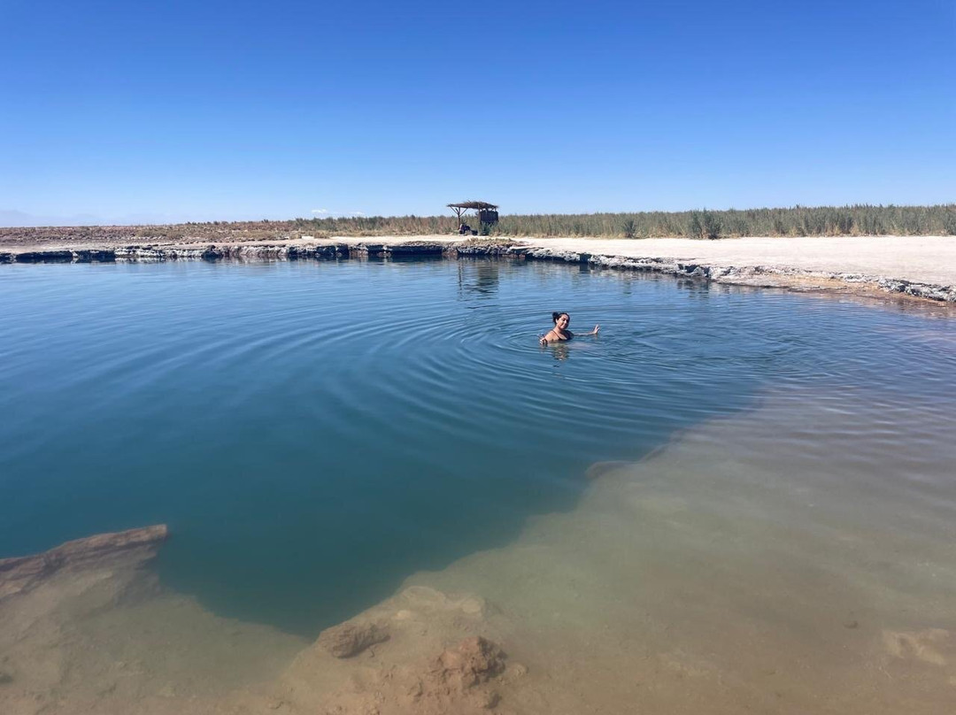 Laguna Cejar-圣佩德罗-德阿塔卡马必去景点