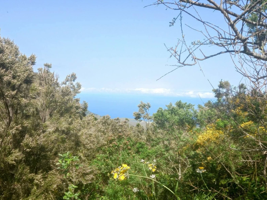 Tenerife Guided Walks-洛斯克里斯蒂亚诺斯必去景点