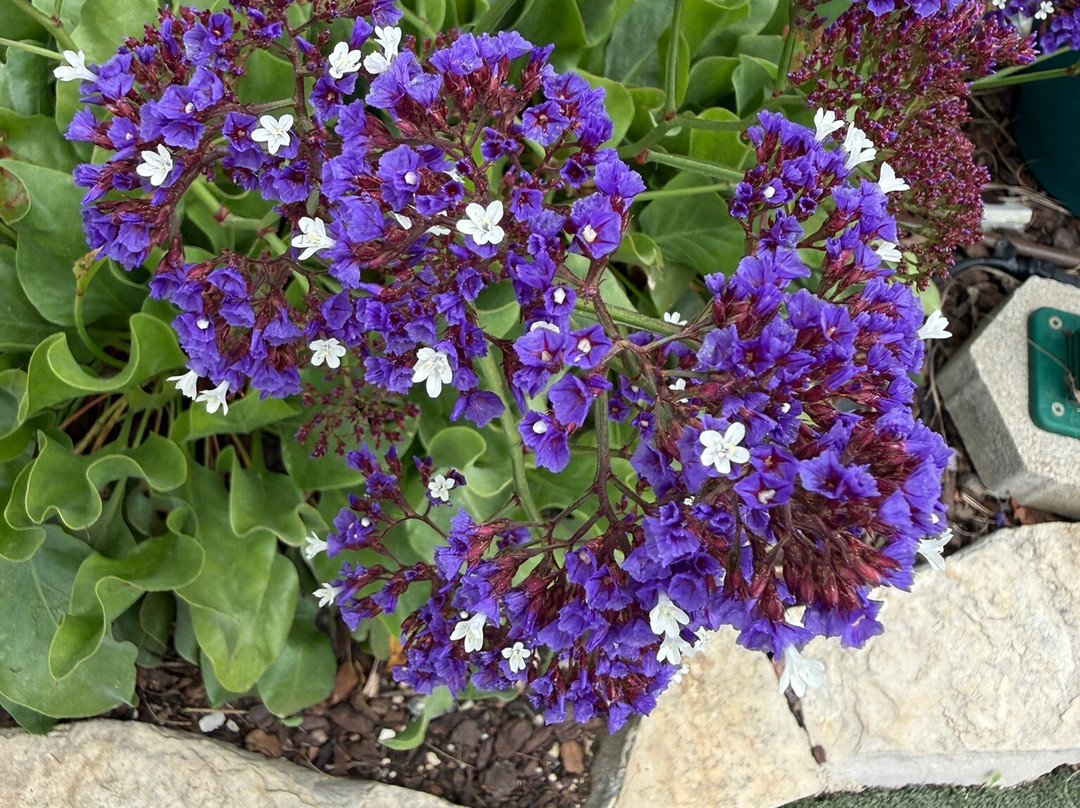 Eden Alvor-阿沃必去景点