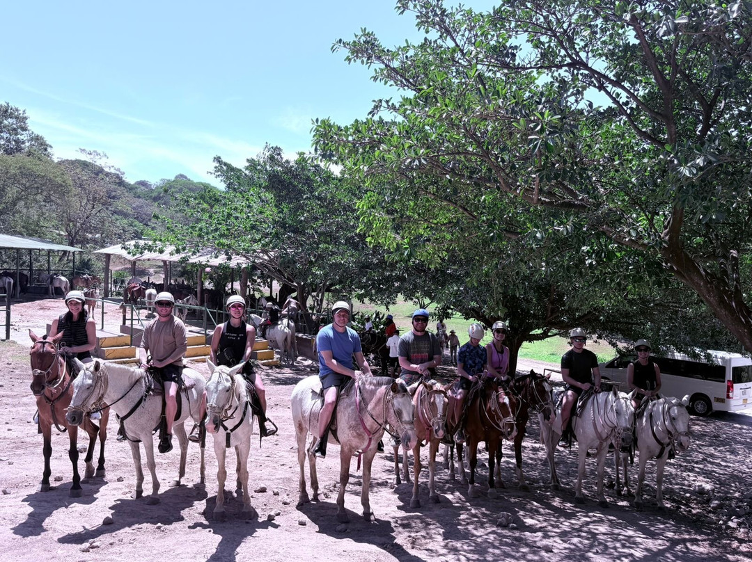 Tours with Frank the Tank Costa Rica-利比里亚必去景点