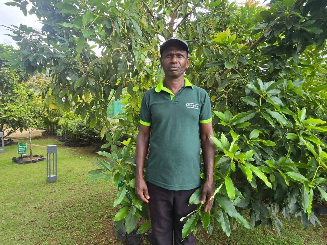 阿盖尔酒店主图