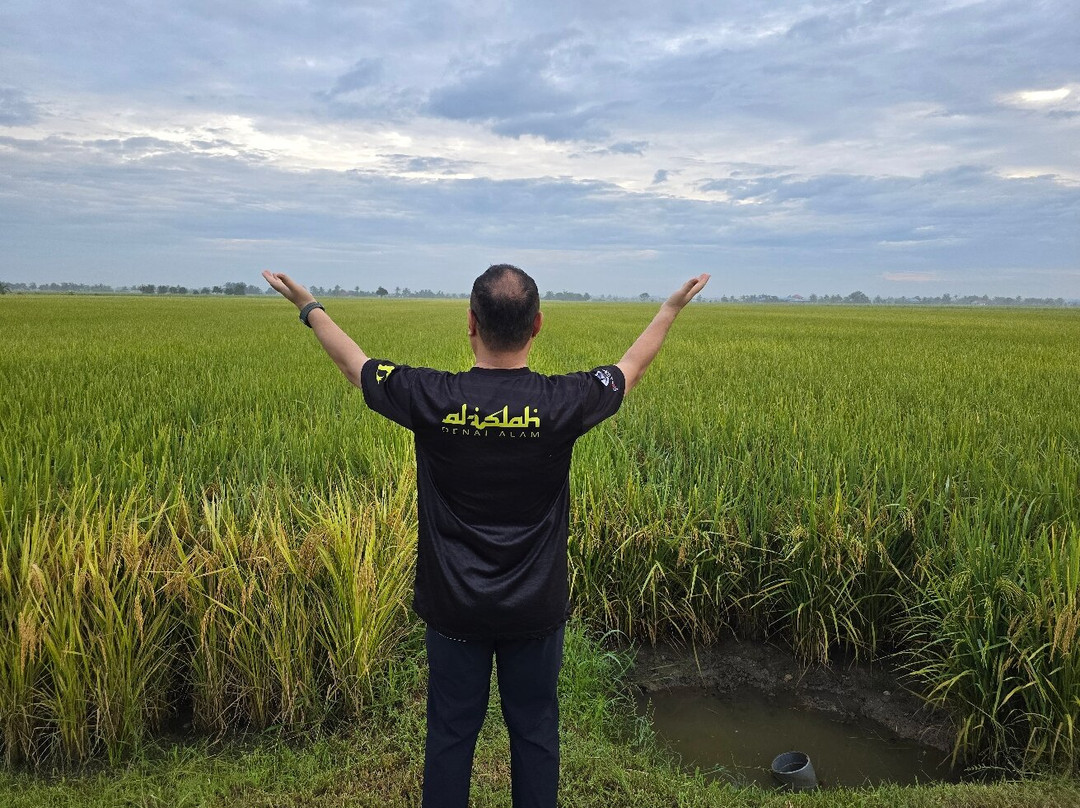 Sekinchan Paddy Field-适耕庄必去景点