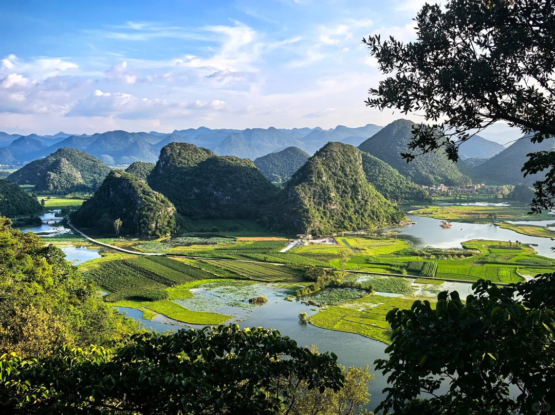普者黑景区-丘北县必去景点