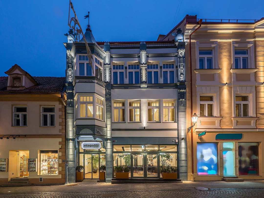 维尔纽斯酒店住宿-Artagonist Art Hotel