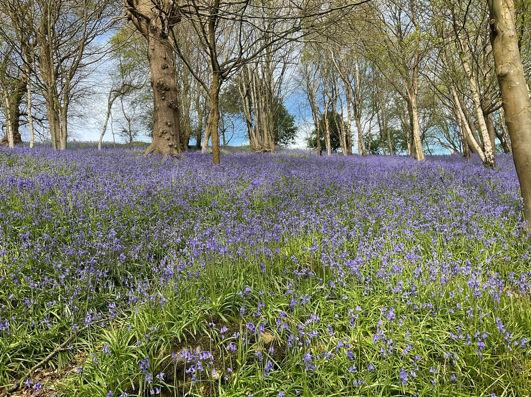 Emmetts Garden-Sevenoaks必去景点