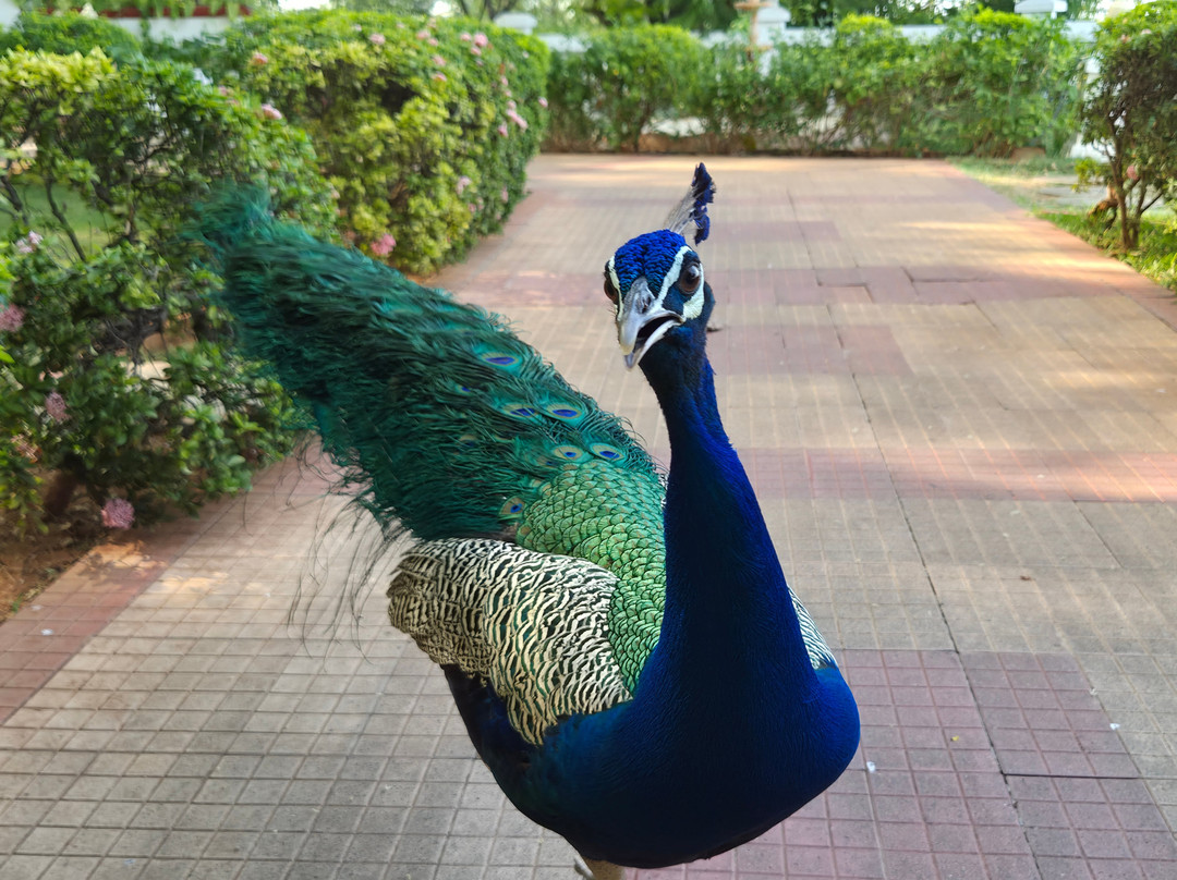 Gateway马杜赖主图