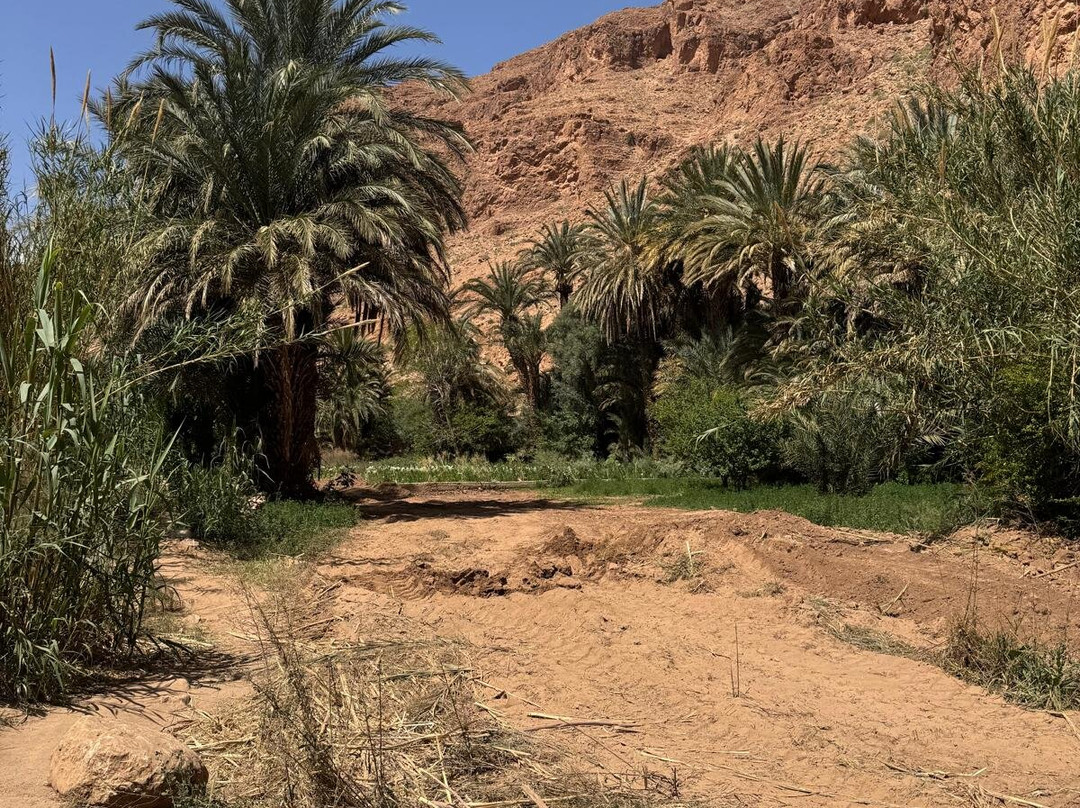 Abdel - Guide Randonnees a Tinghir-廷吉尔必去景点