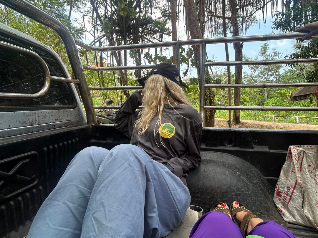 The Lake Phuket Elephant Home-Thep Krasatti必去景点