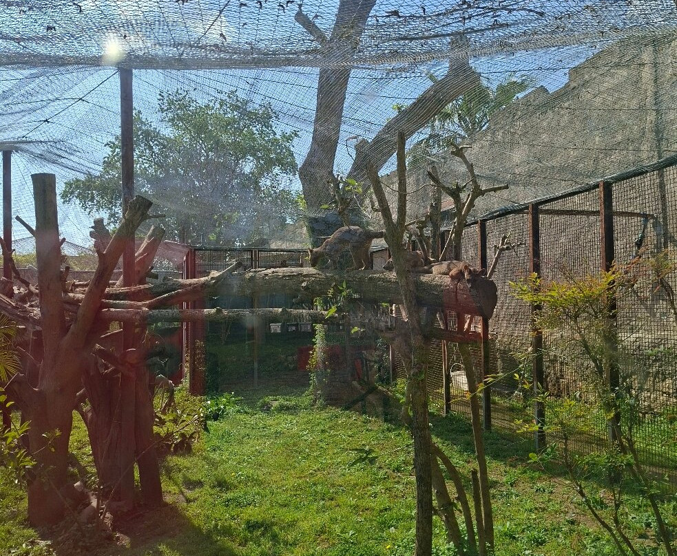 Lo Zoo di Napoli-那不勒斯必去景点