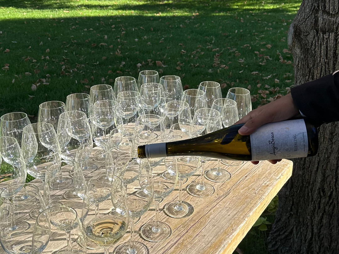 Finca El Paraíso - Bodega Luigi Bosca-Maipu必去景点