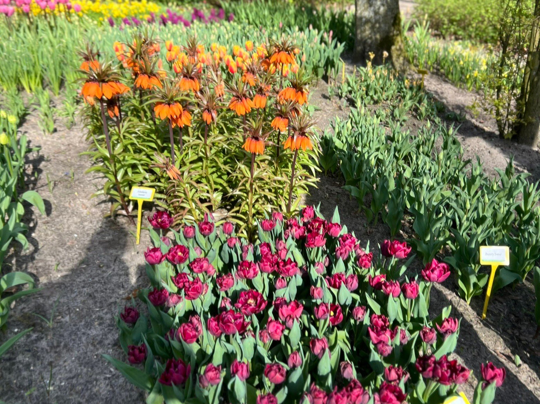 Poldertuin-Anna Paulowna必去景点