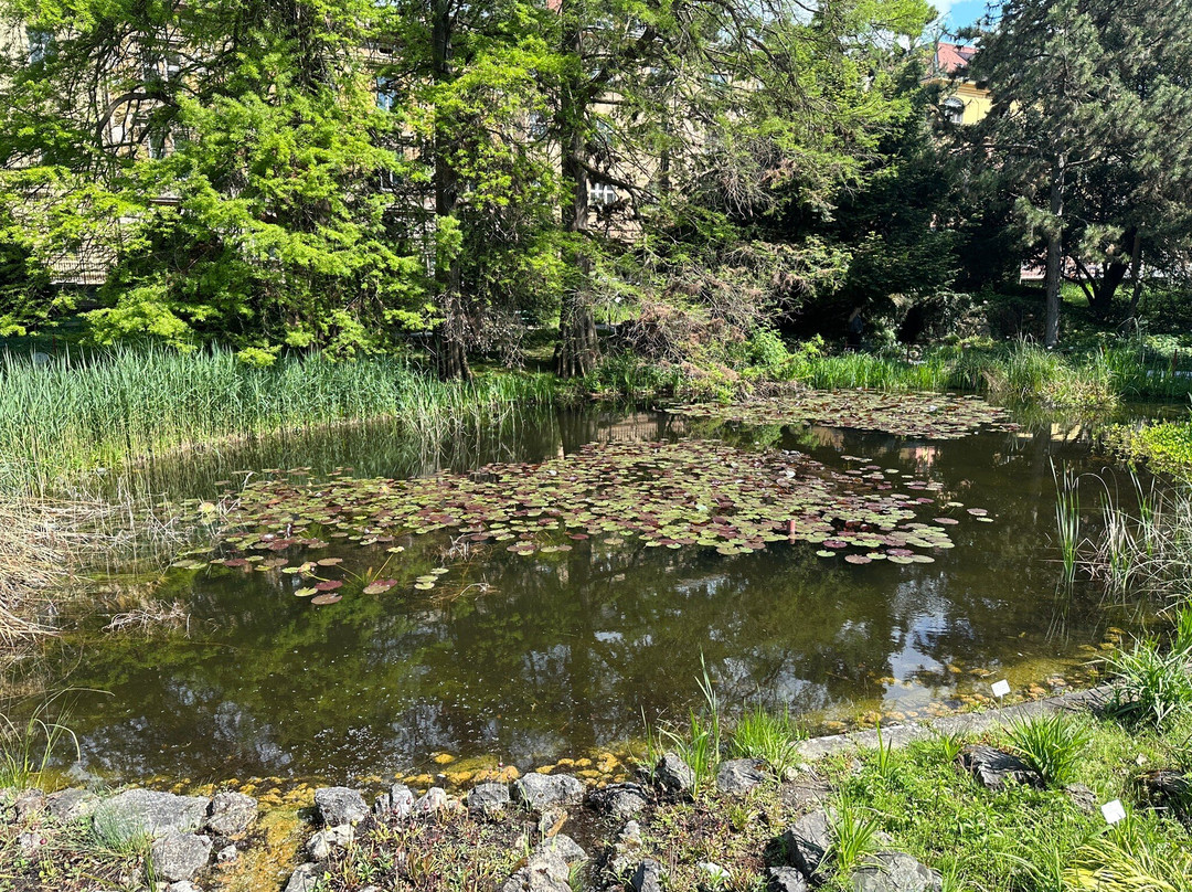 Botanical Garden-萨格勒布必去景点