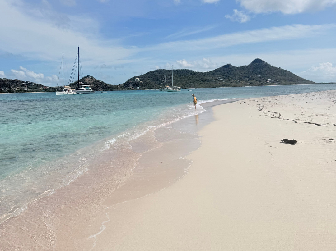 Froggy's Reef Tours and Snorkeling Carriacou-Carriacou Island必去景点