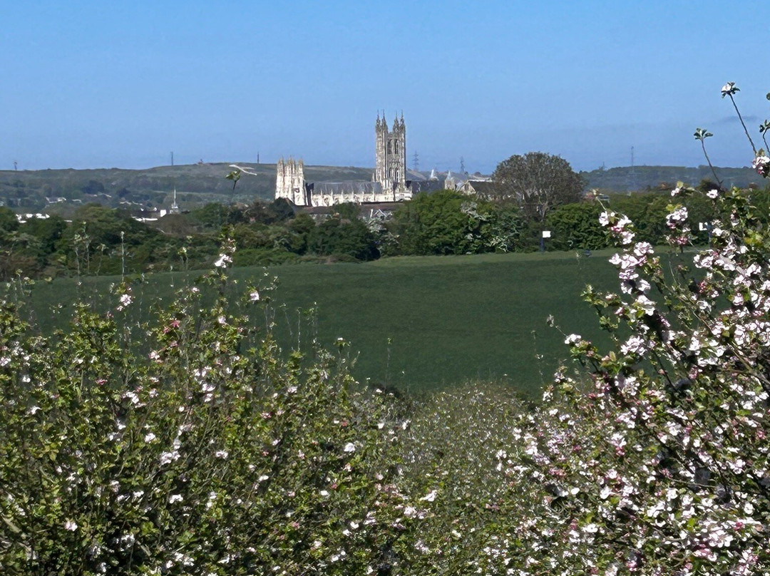 Canterbury Cathedral Panoramic Viewpoint-坎特伯雷必去景点