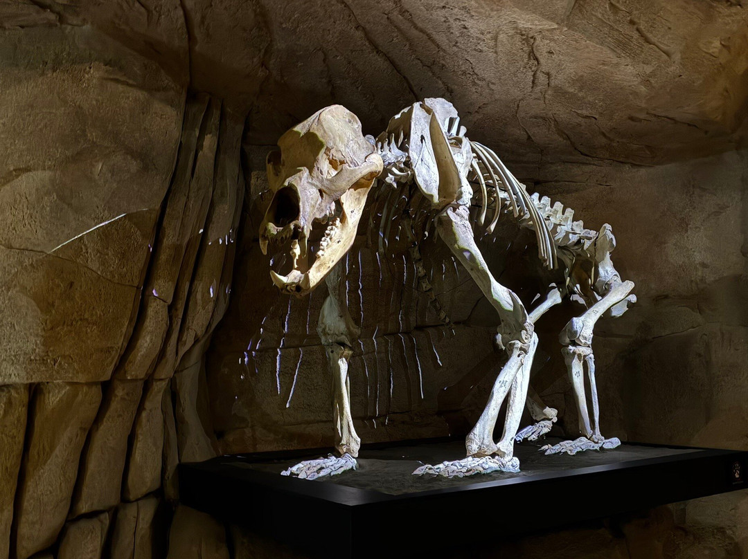 Musee De L'ours Des Cavernes-Entremont-le-Vieux必去景点
