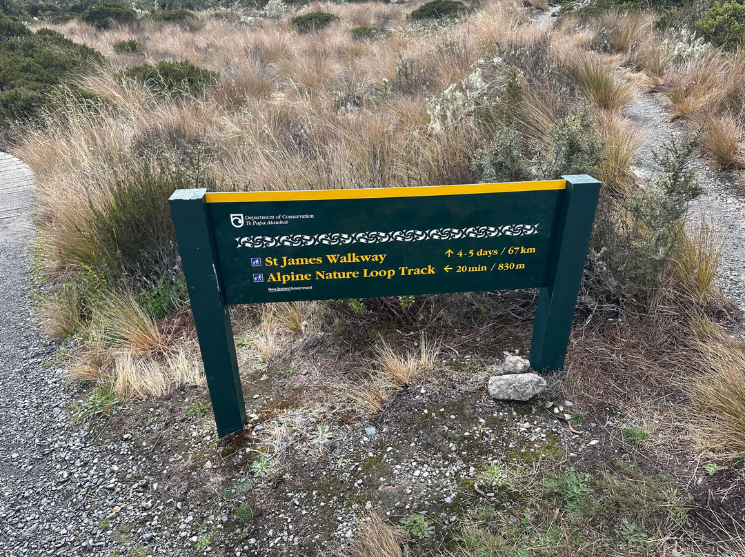 Alpine Nature Walk-Springs Junction必去景点