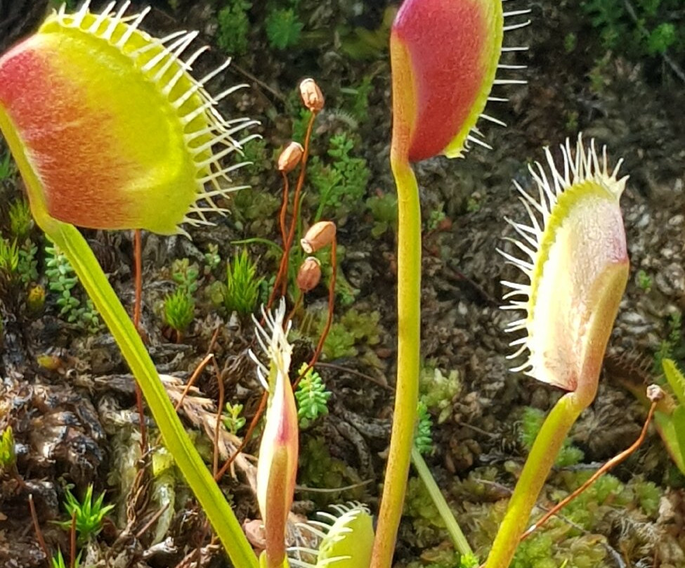 Botanical Garden, Bonn-波恩必去景点