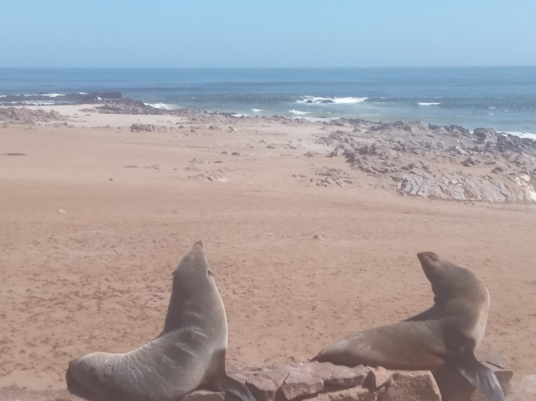 Cape Cross-Erongo Region必去景点