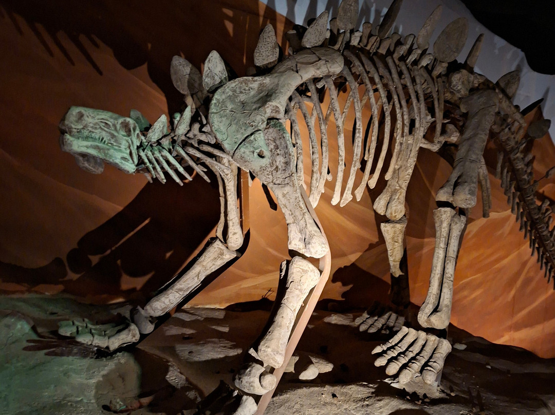 Dinosauria Park-Gournes必去景点