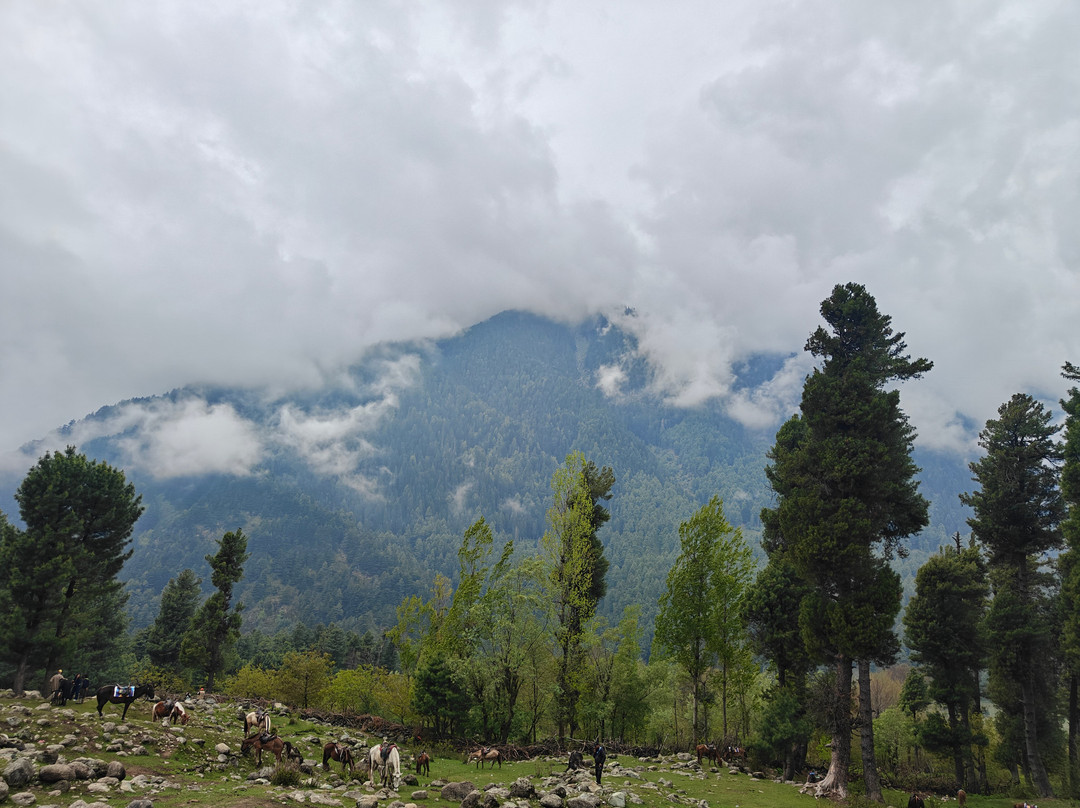 Mountnoor Sarovar Premiere Pahalgam