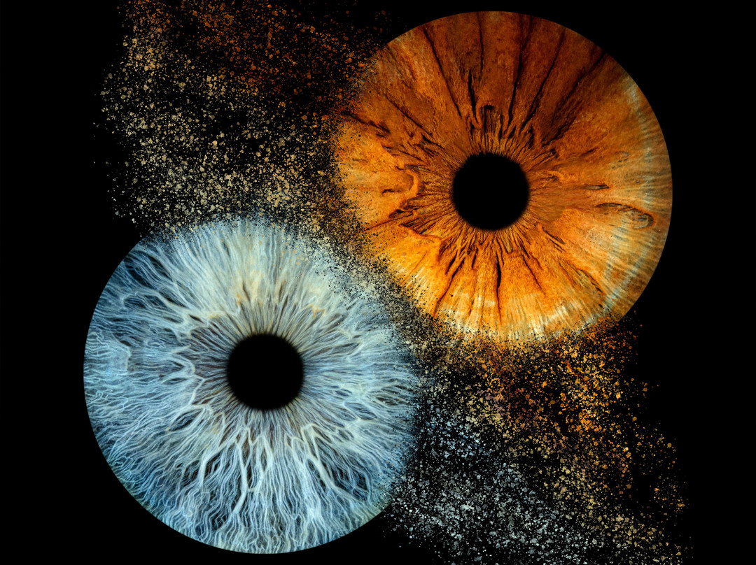 Iris Galerie Breda