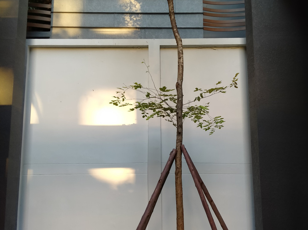 清迈阿基拉马诺尔酒店主图
