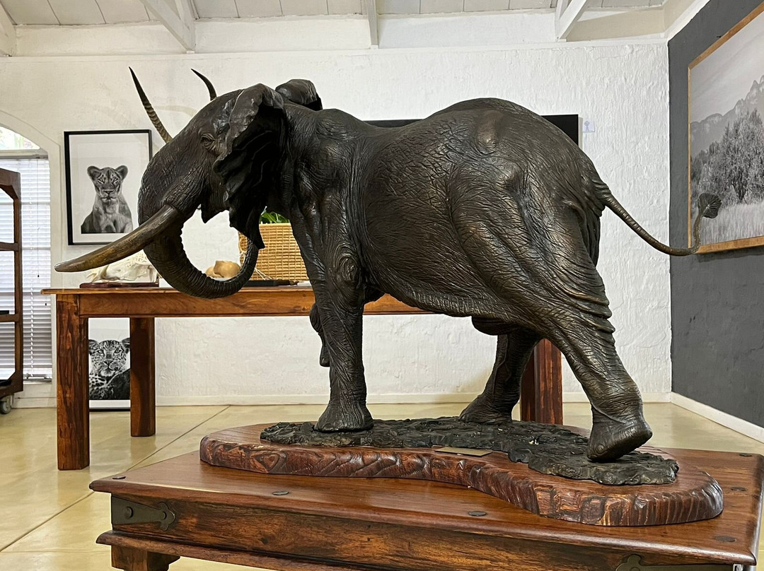Warren Cary Wildlife Gallery-霍德斯普鲁特必去景点