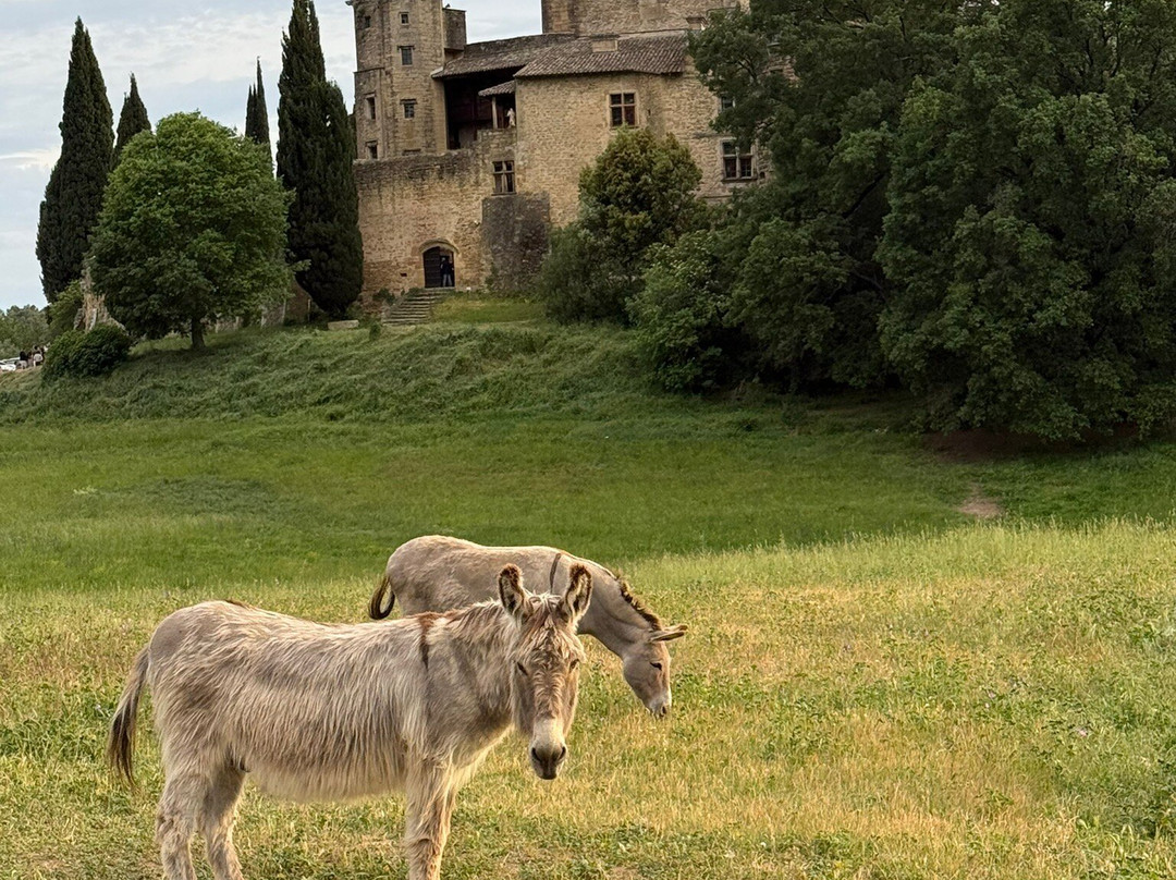 Provence Cycling Holidays主图