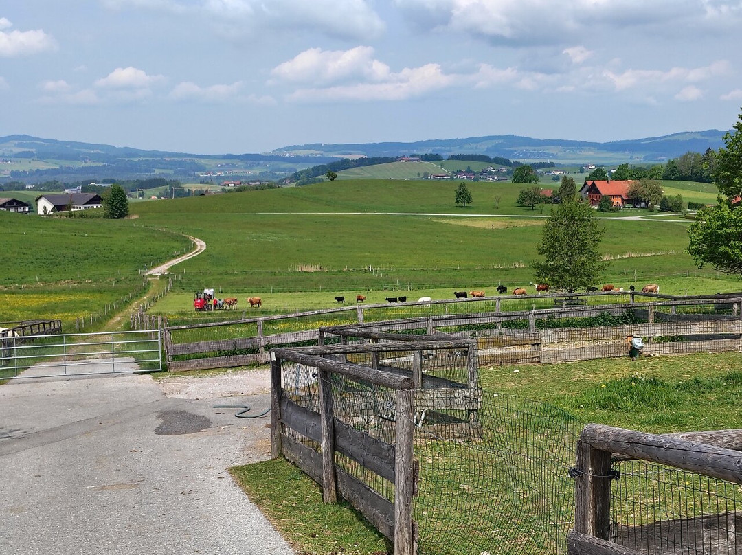 Gut Aiderbichl Henndorf-Henndorf am Wallersee必去景点