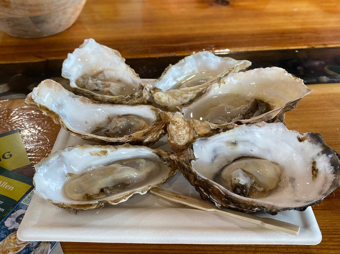 Hump Island Oyster & Kelp Farm with Tasting-凯奇坎必去景点