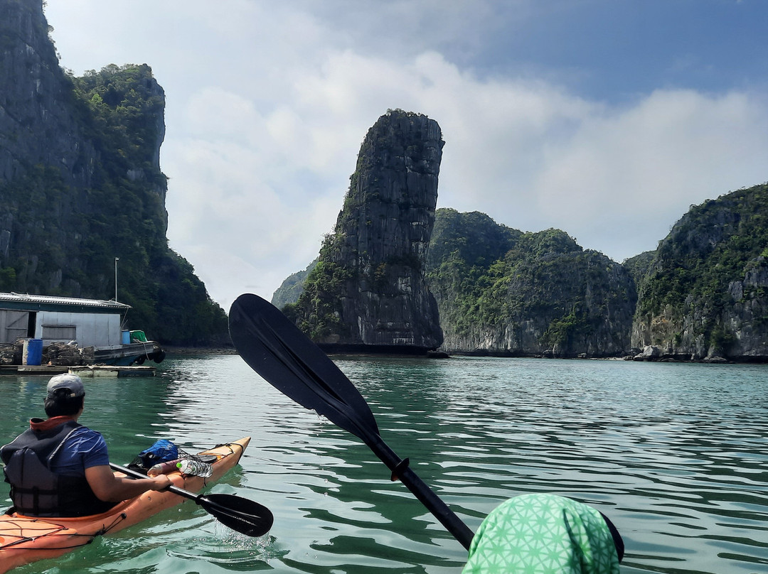 Cat Ba Kayak Adventures-下龙湾必去景点