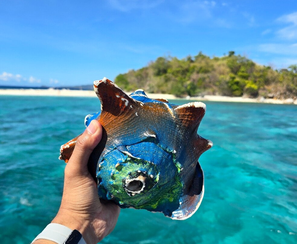 Keelooma | Linapacan Tour, Expedition and Island Stay-利纳帕坎岛必去景点