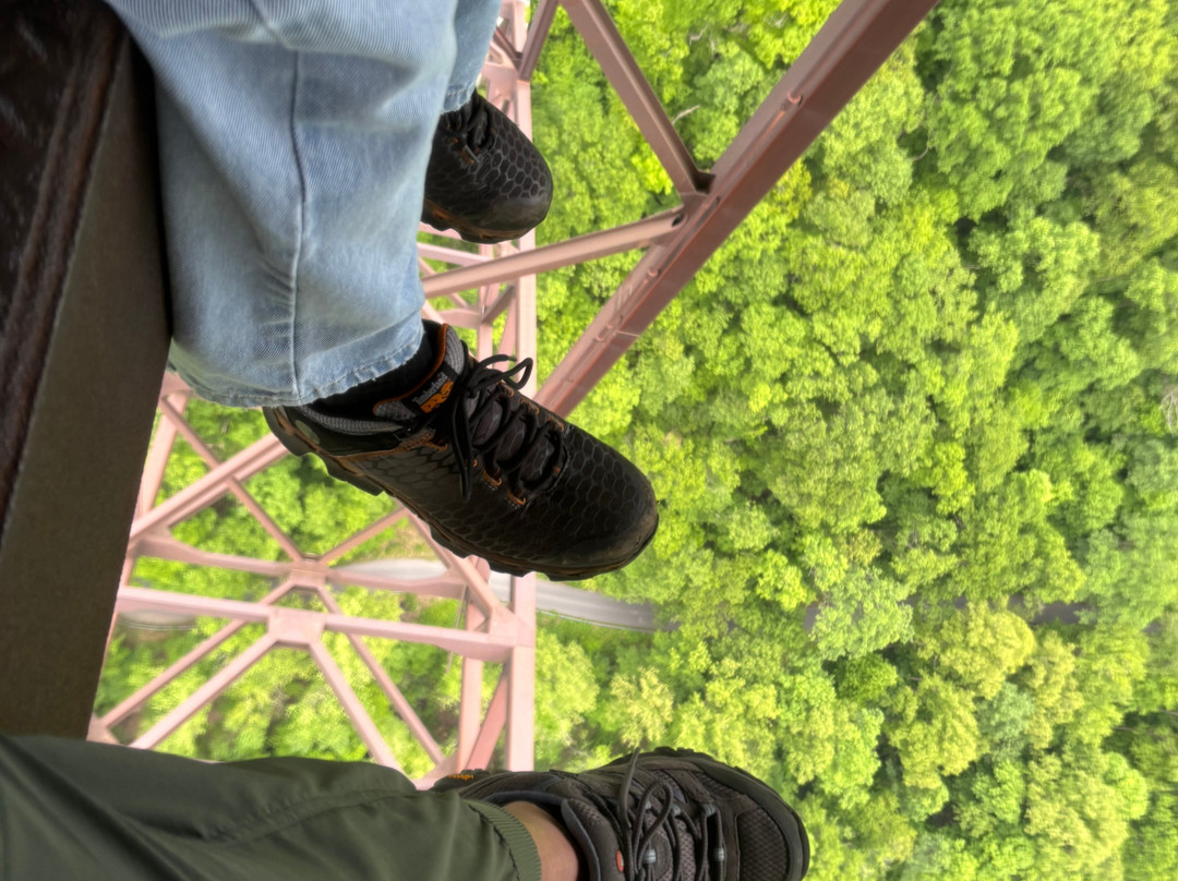 New River Gorge Bridge-Fayetteville必去景点