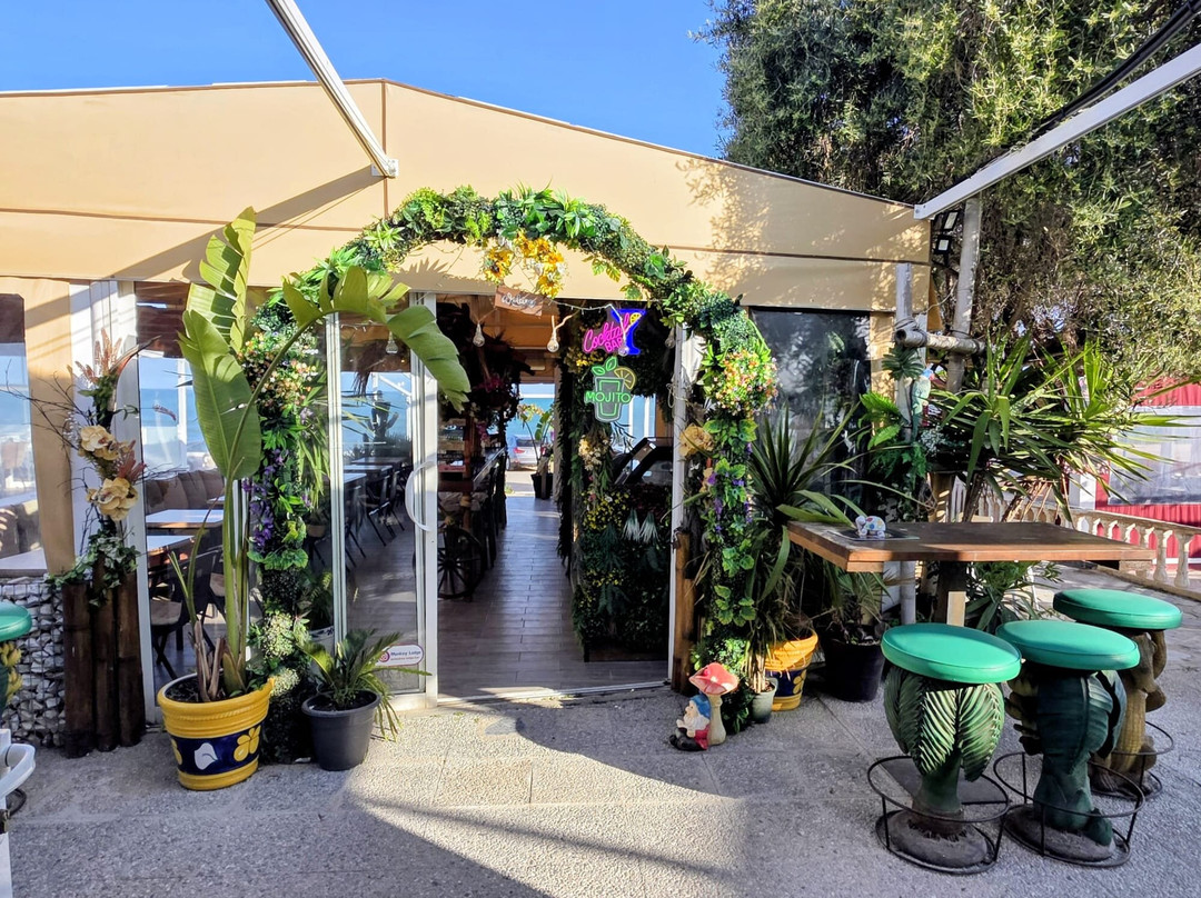 Selva Marina