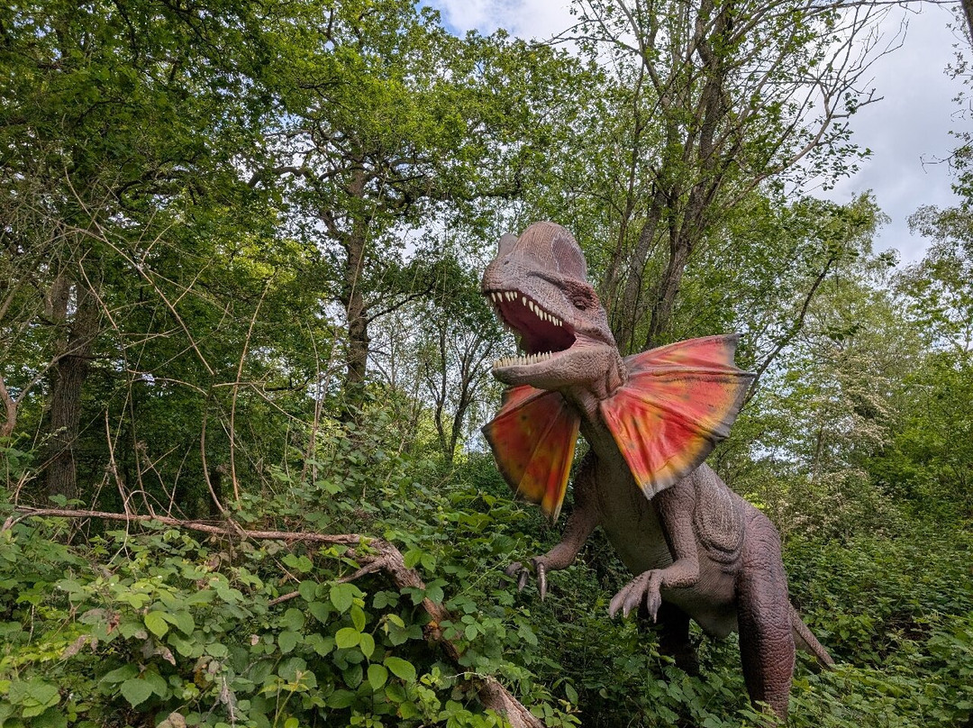 Hertfordshire Zoo-布罗克斯本必去景点