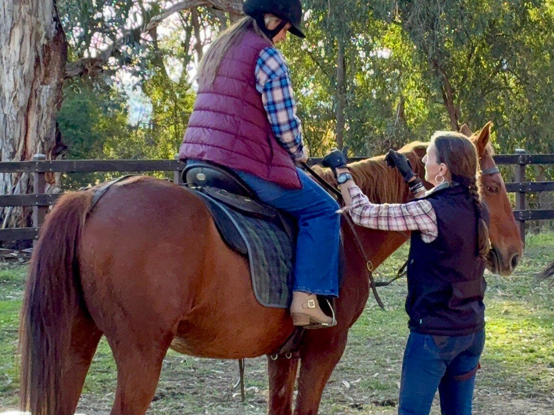 Bogong Horseback Adventures-Tawonga必去景点