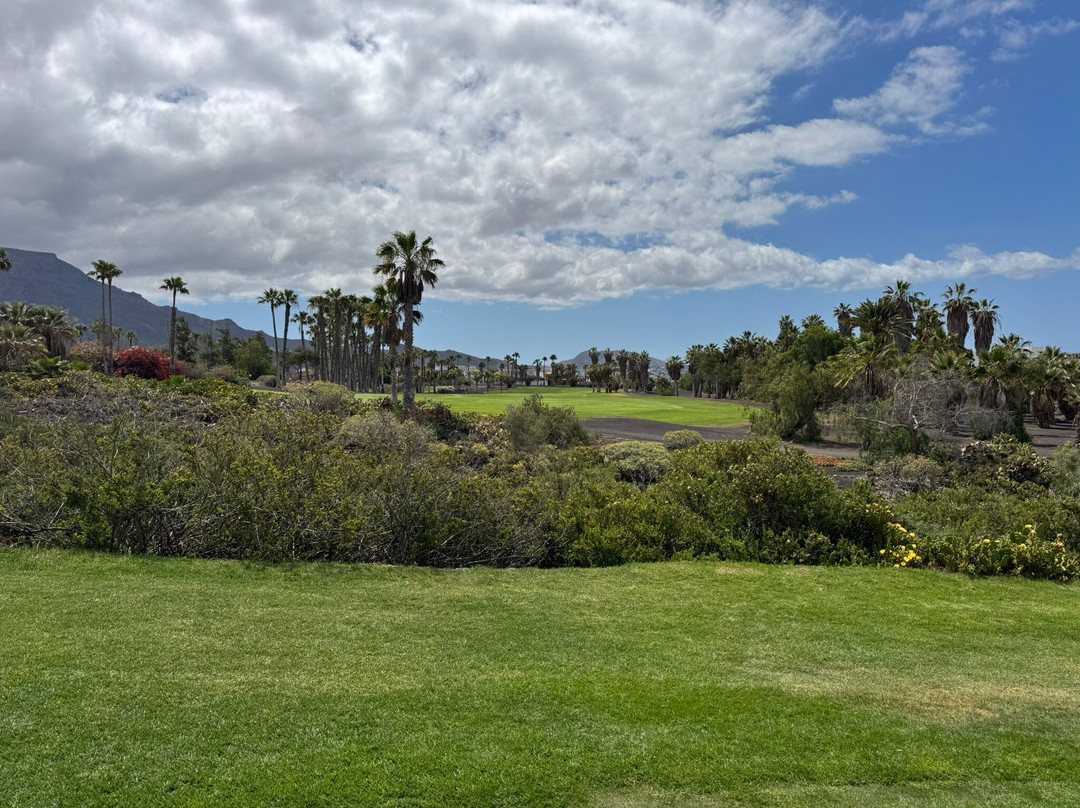 Golf Costa Adeje-特纳里夫必去景点