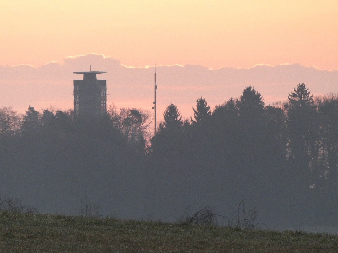Napoleonturm Hohenrain-Waldi必去景点