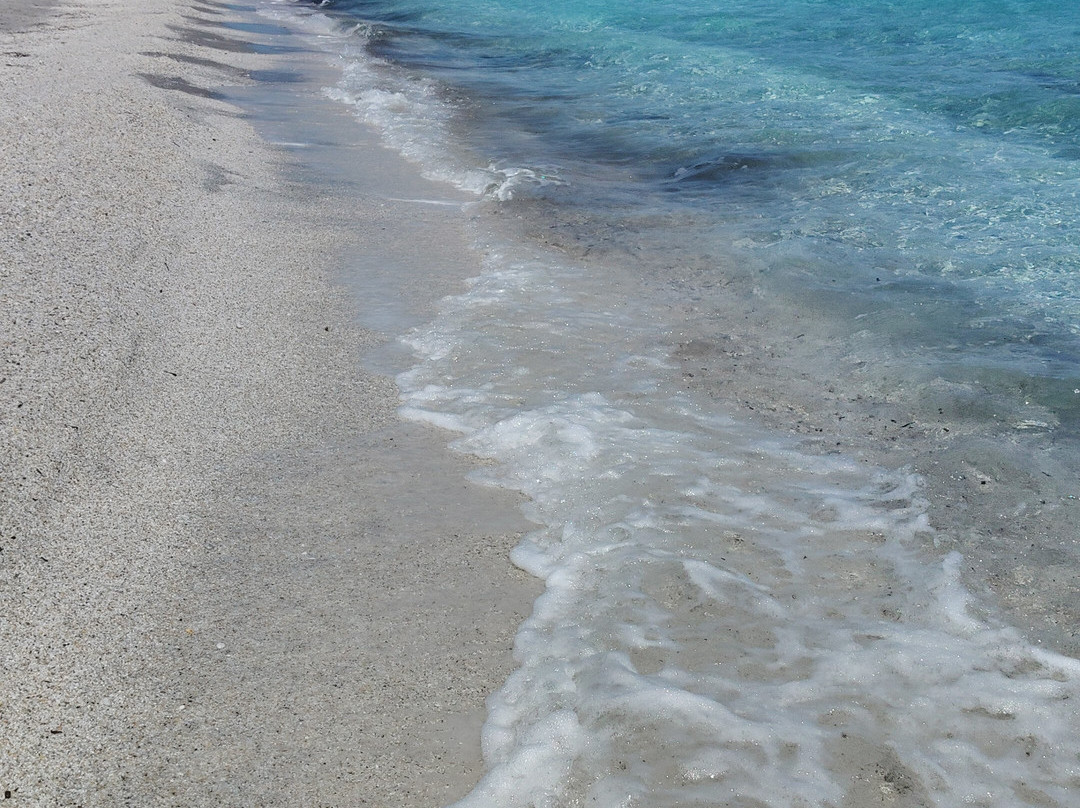 Spiaggia Le Saline-斯廷蒂诺必去景点