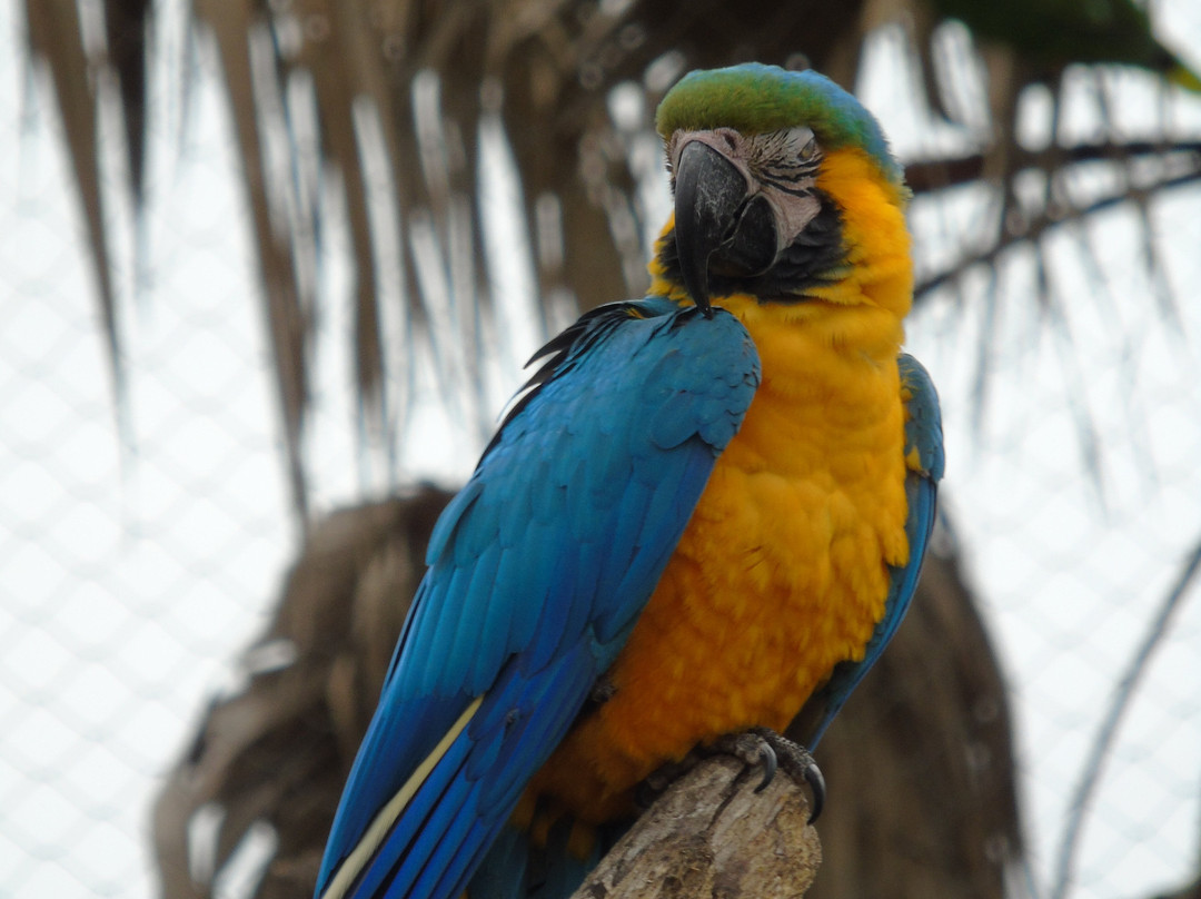 Zoo Bassin d'Arcachon-拉泰斯特德比克必去景点