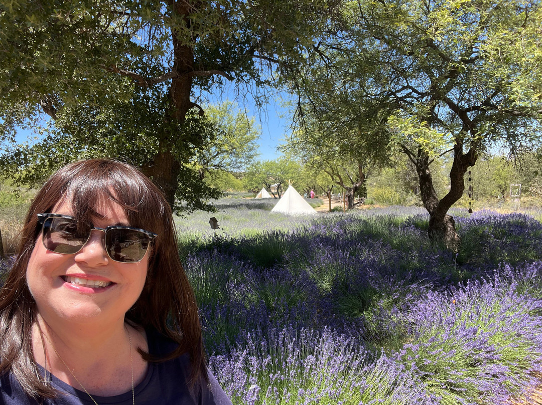 Life Under The Oaks Lavender Farm-Oracle必去景点