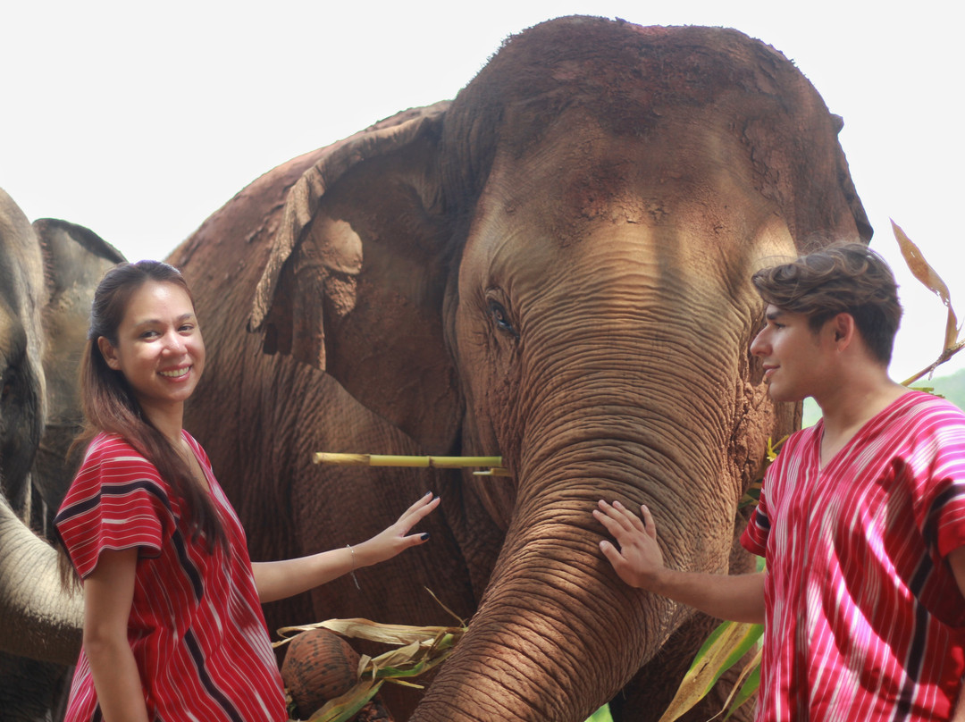 Karen Hilltribe Elephant Sanctuary-Mae Win必去景点
