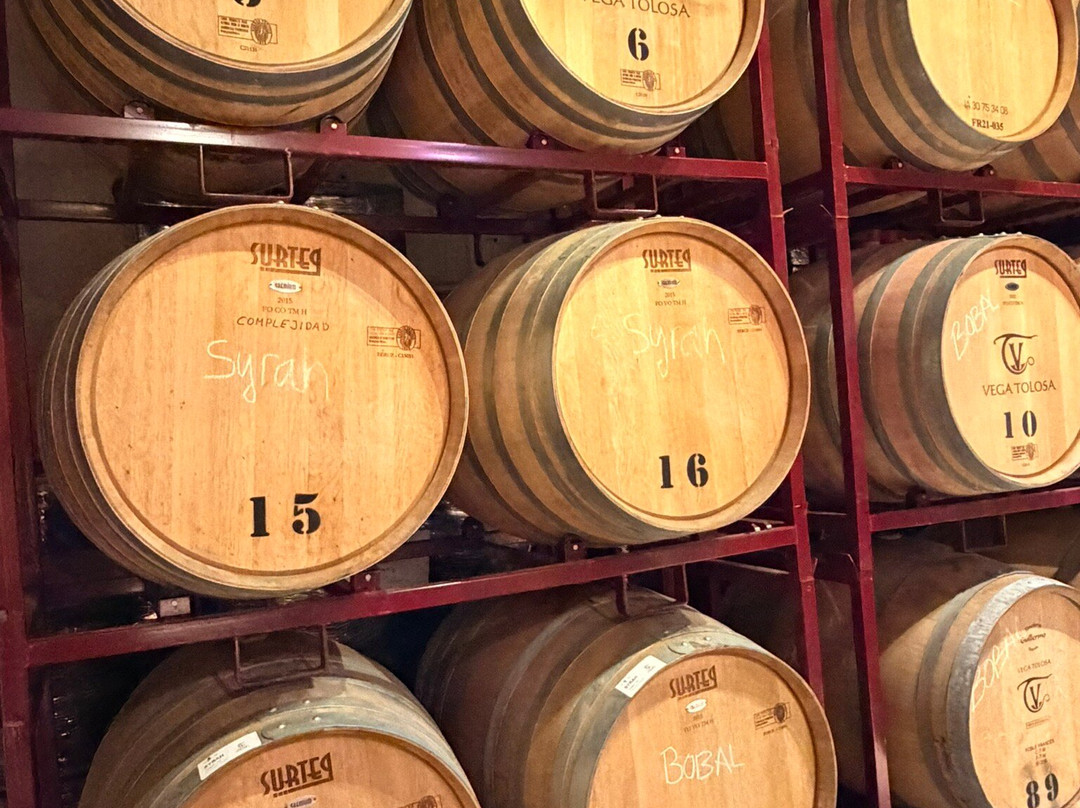 Bodega Vega Tolosa-Casas Ibanez必去景点