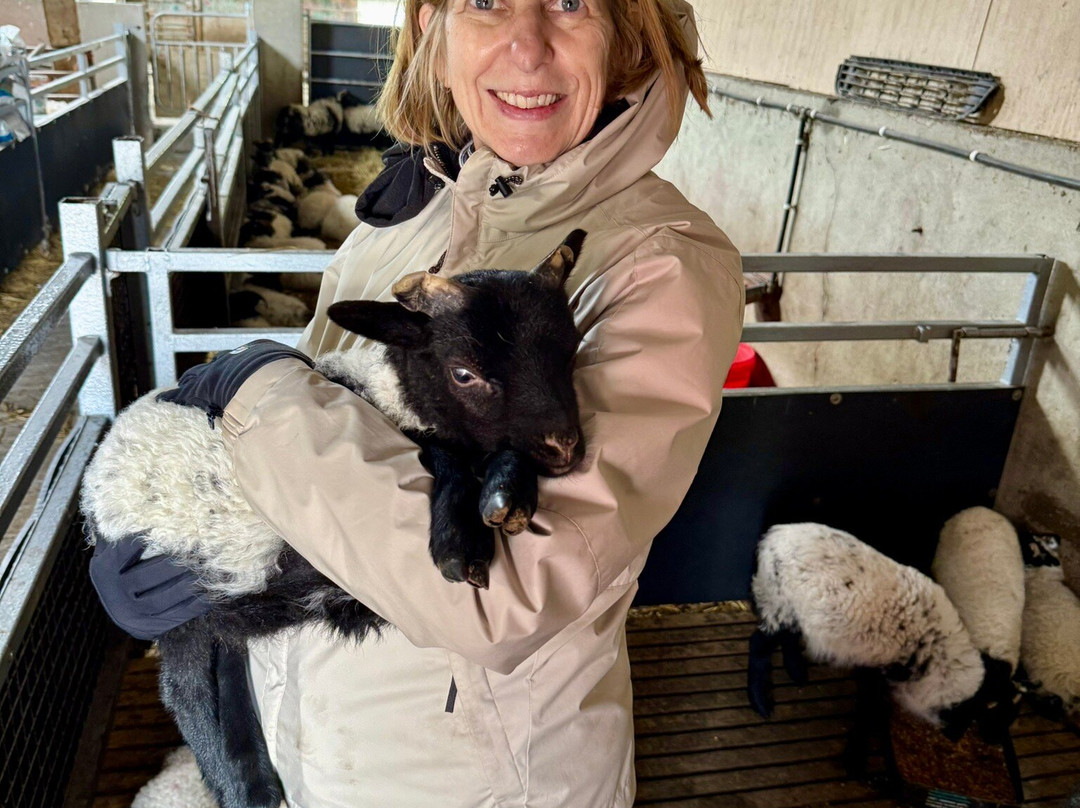 Killary Sheep Farm-Leenane必去景点