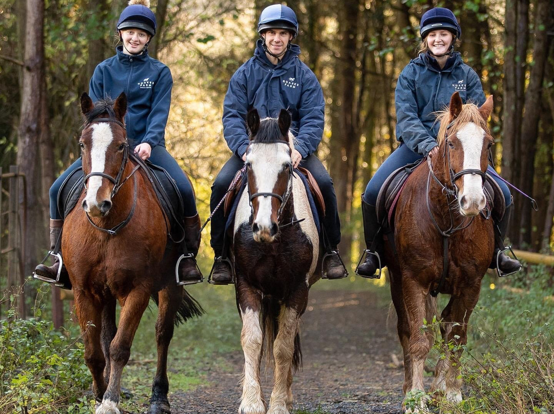 Noakes Farm Riding Centre-Bromyard必去景点