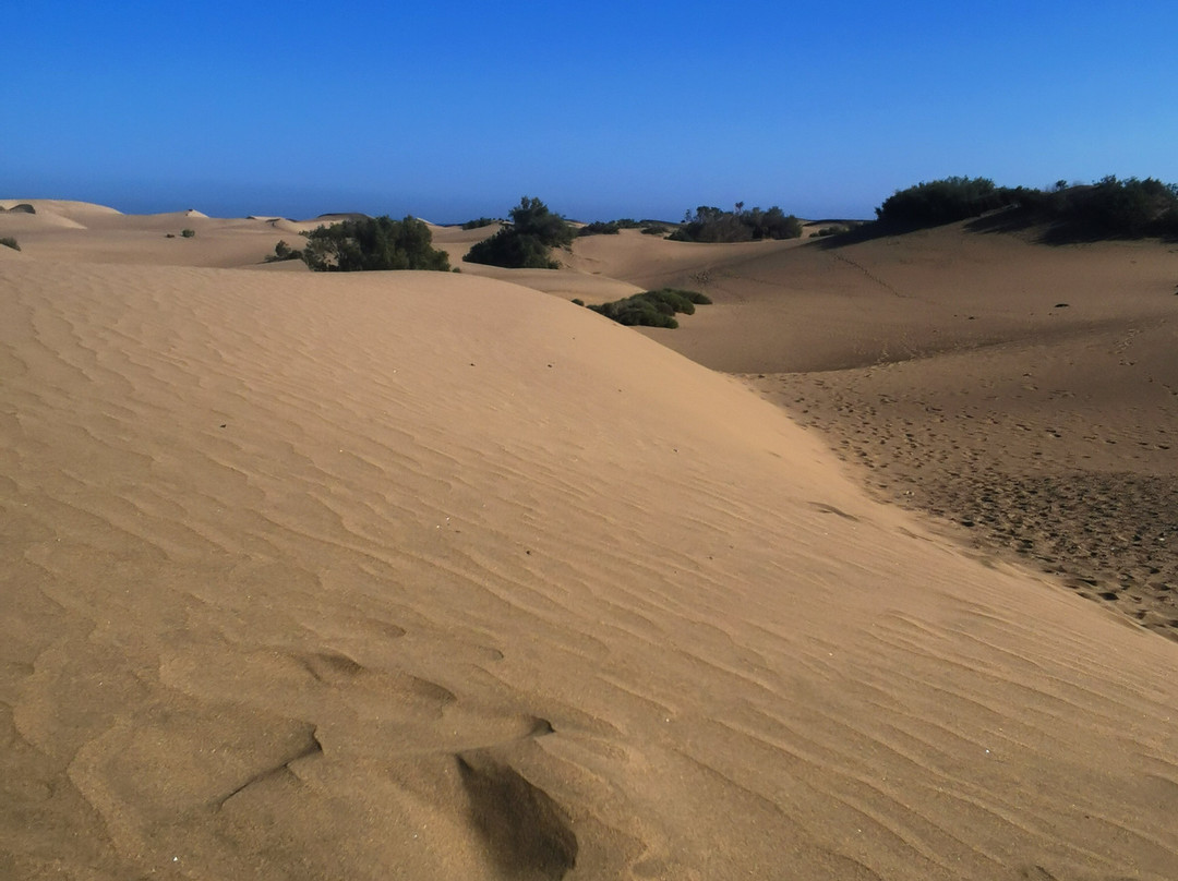 Reserva Natural Especial de Las Dunas de Maspalomas-马斯帕洛马斯必去景点
