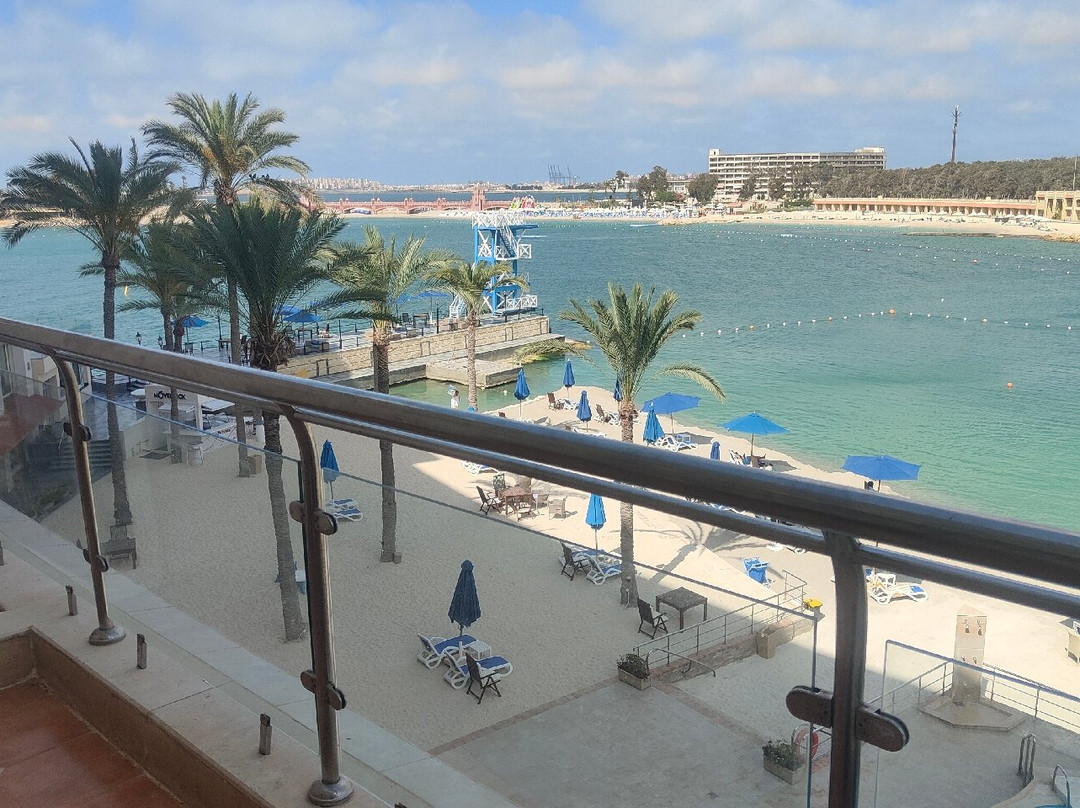 Helnan Alexandria Hotels主图