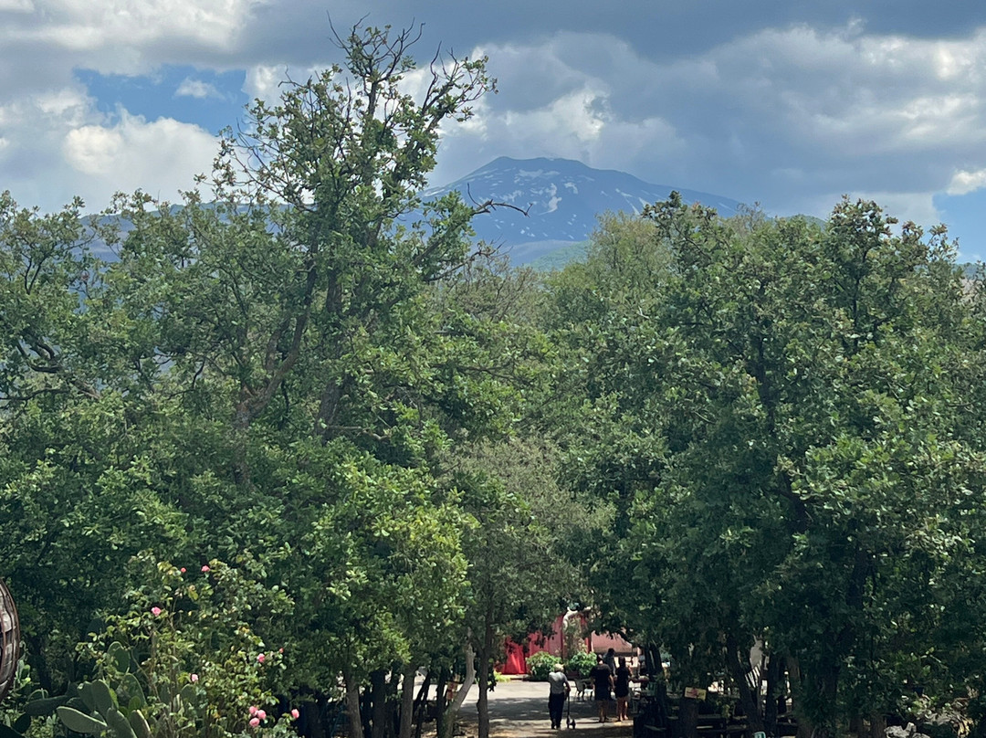 Turi Eccellenze dell'Etna-Randazzo必去景点